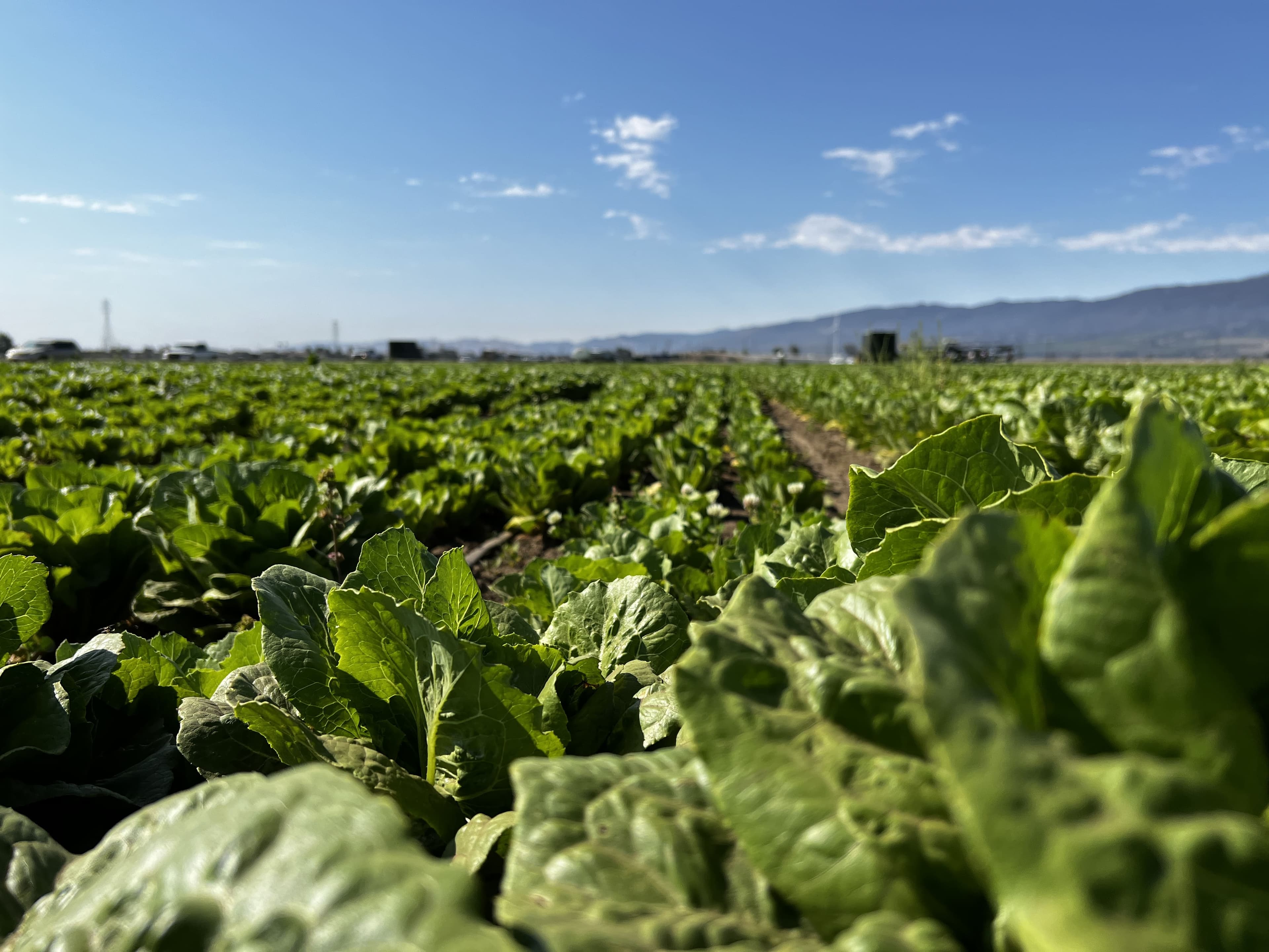 Home page background image